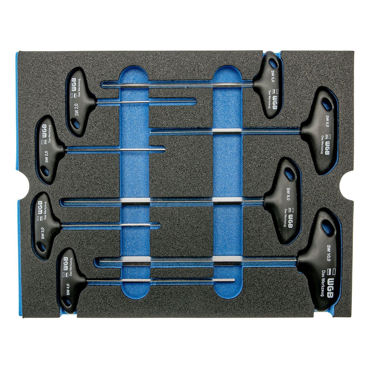 Module T-Handle Hexagon Key Wrench